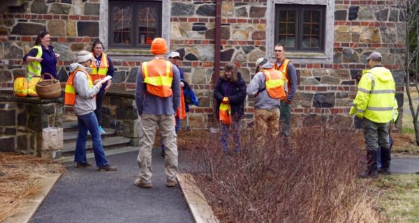 photo of schoodic institute staff cleaning up trash from the roadside
