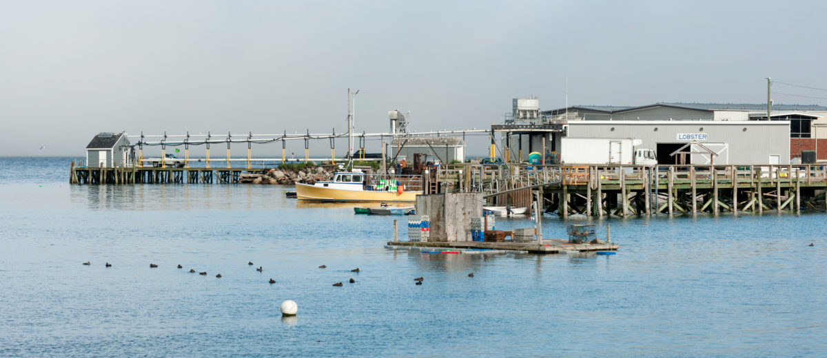 Lobster processing facility and fishing boats in Prospect Harbor in northern Maine, USA