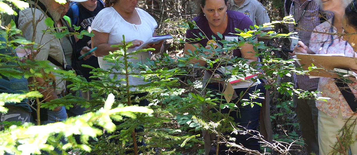 photo of citizen scientists studying a tree