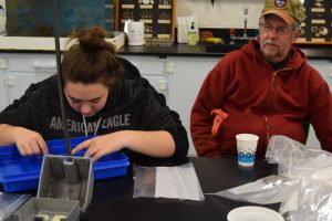 students sort clams at lab bench