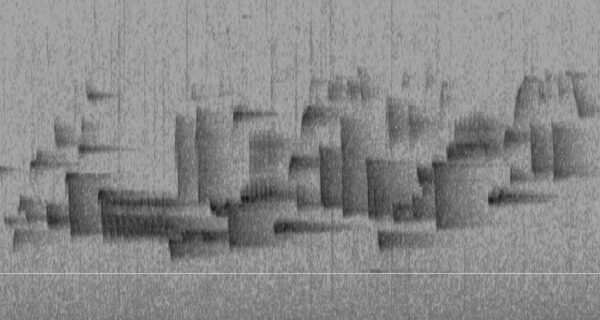 Black lines and shapes of a spectrogram– a visualization of sound — of the song of a Winter Wren