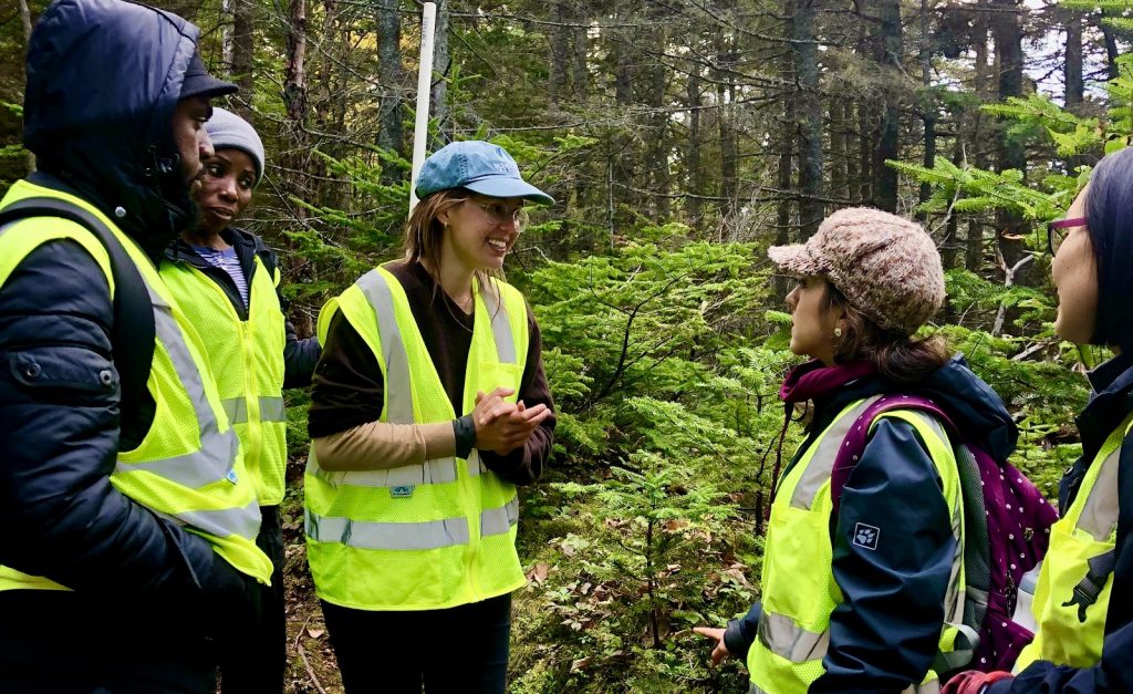 Citizen scientists in the woods