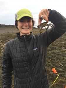 Sally Burke holding a crab with rockweed in background