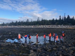 A group of eight students in the intertidal zone at low tide.