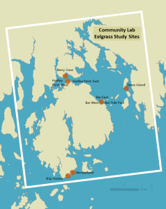 Map showing eelgrass study sites.