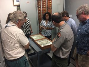 people stand around a table in Acadia National Park archives where a wood and glass case of insect specimens is on display