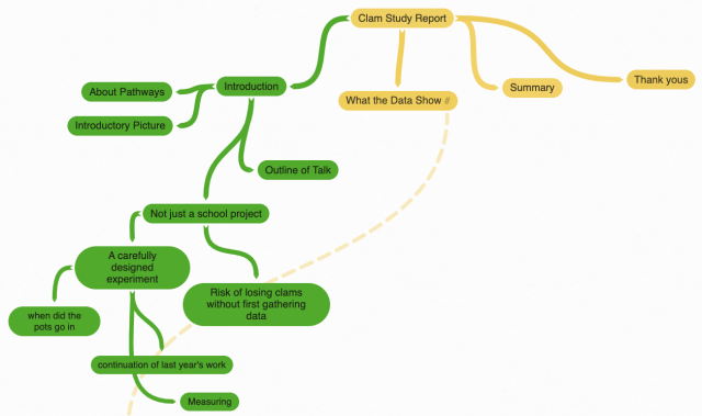 Diagram of presentation ideas