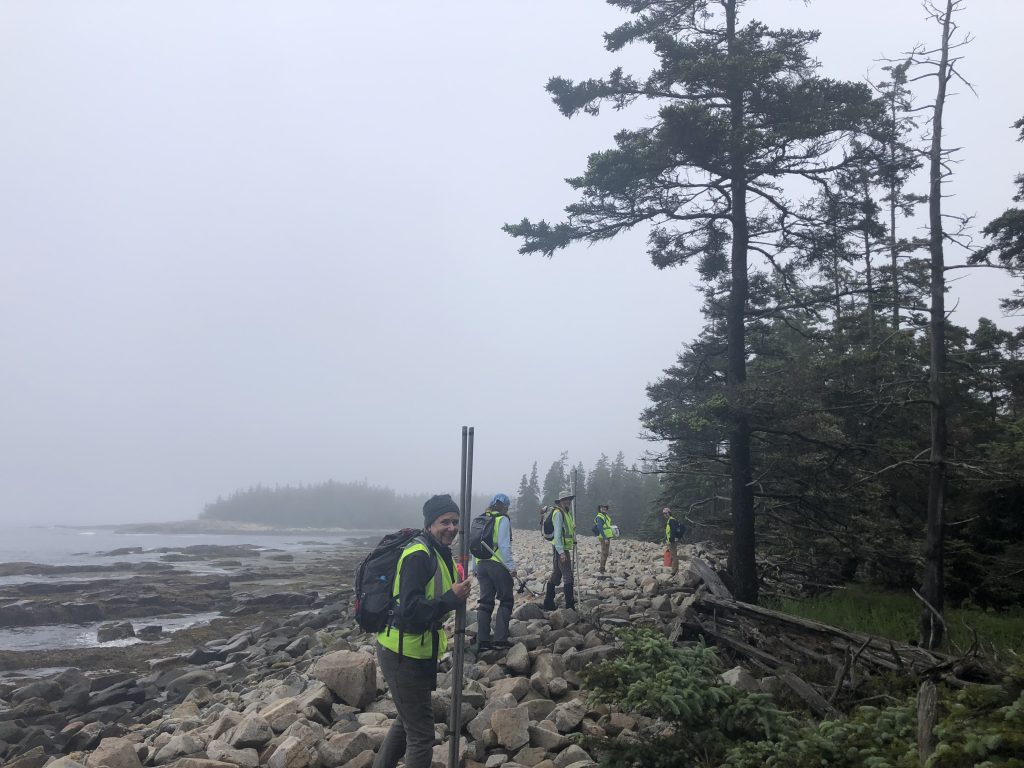 Five people stand on the rocky shore along the edge of the fores