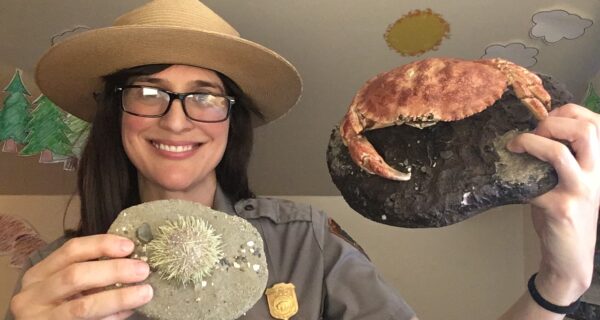 A park ranger holds up a crab and sea urchin.