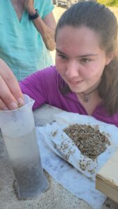 Sophie Chivers places tiny clams into a measuring column of water.