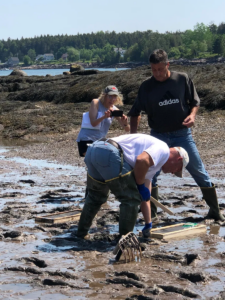 One person in hip boots lays a box on the mud while another looks on and a third takes a photo.