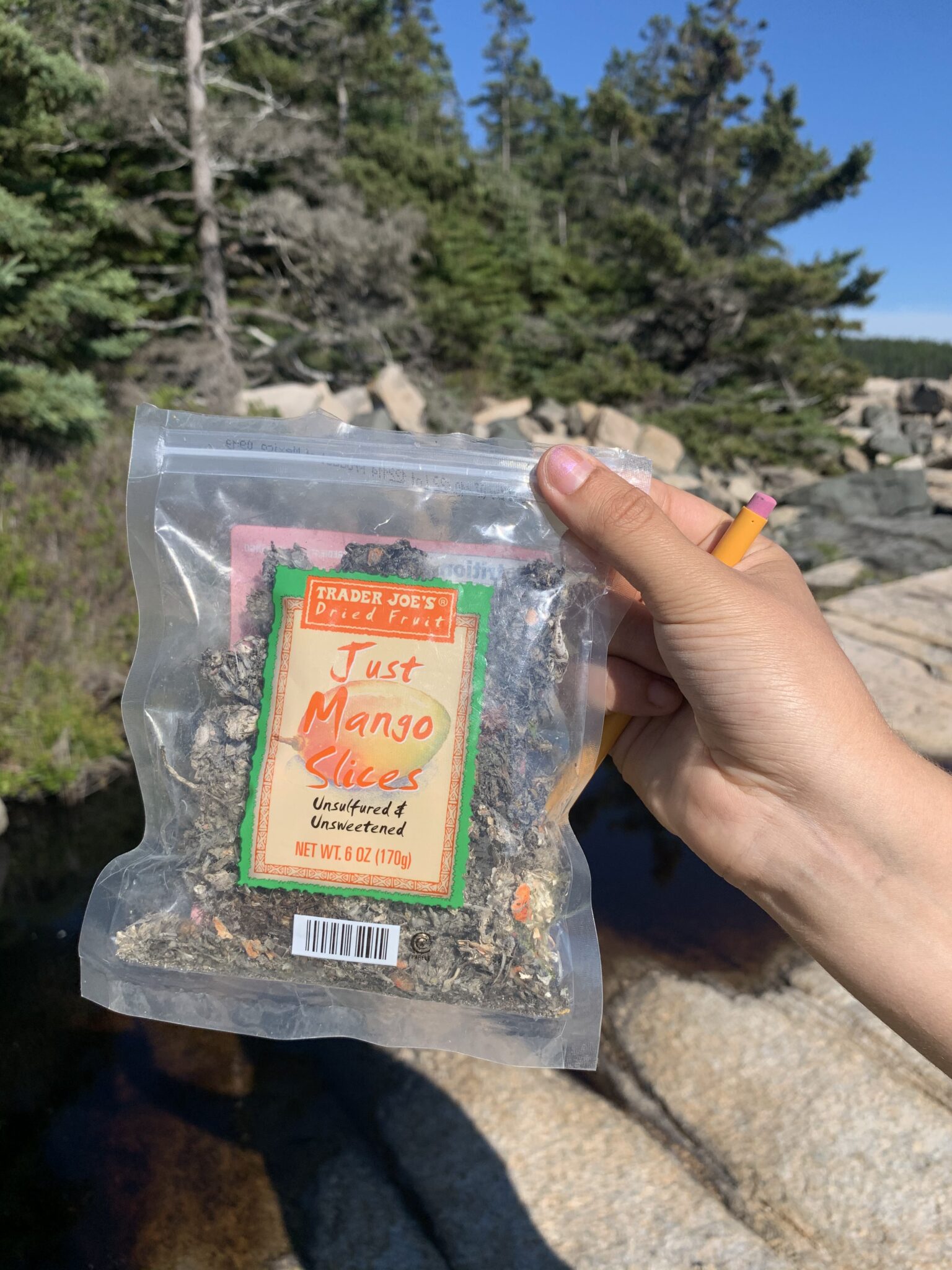 A person's hand holds a bag of Just Mango Slices with trees and rocks in background