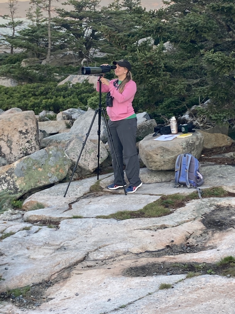 A person stands looking through a spotting scope on granite rocks with spruce trees in background.