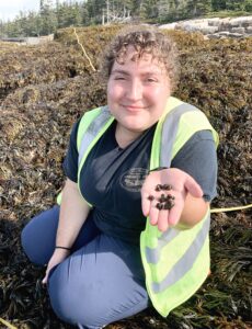Emily Jackson sits on a rockweed covered forested rocky shoreline holding a handful of snails.