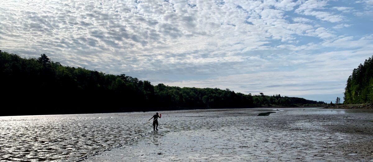 Low tide on the mudflat with a lone person in the middle and forested shoreline and partly cloudy sky in background.
