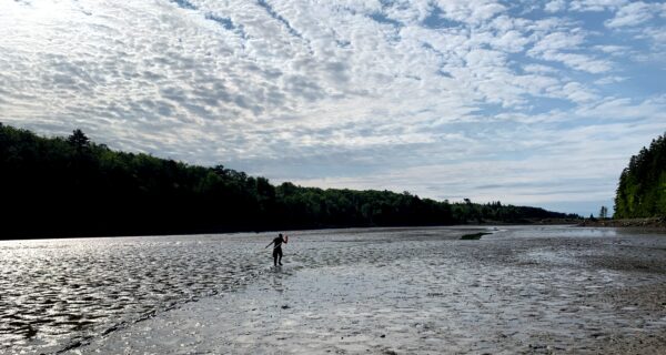 Low tide on the mudflat with a lone person in the middle and forested shoreline and partly cloudy sky in background.