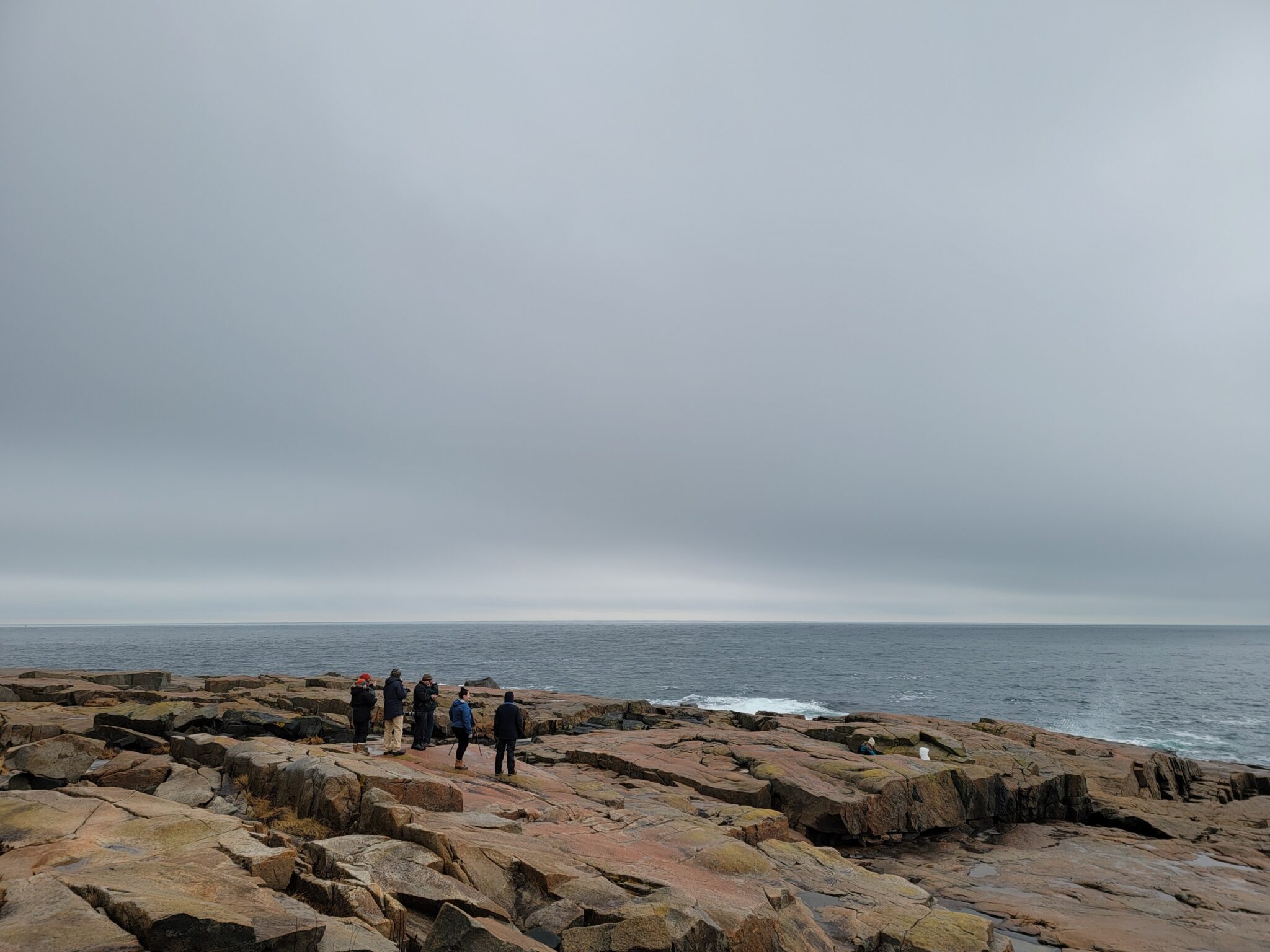 In the distance, a group of five people on the rocky shore at Schoodic Point looking across a calm sea to the horizon. The sky is overcast.