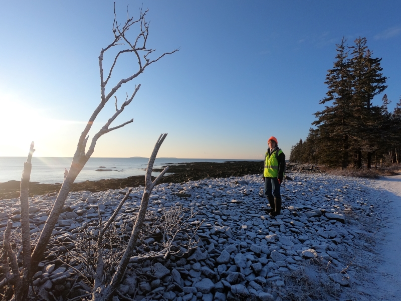 A person stands on snow-covered rocky shoreline, with seaweed-covered tide pools, ocean, and trees in background