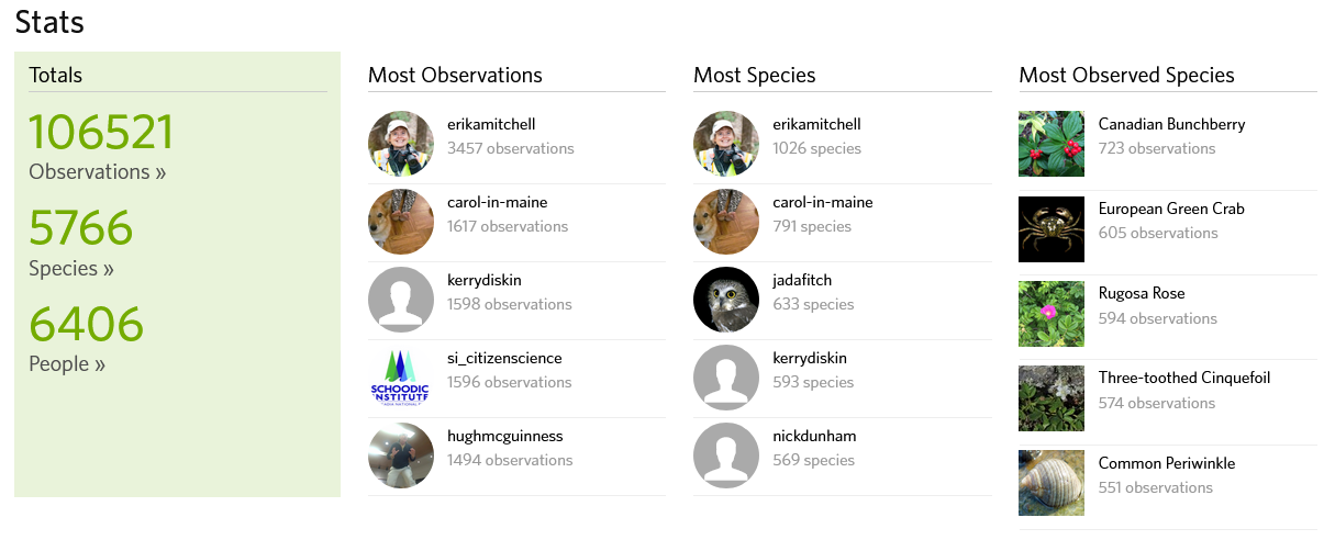 screen capture of Downeast & Acadia Project statistics from iNaturalist