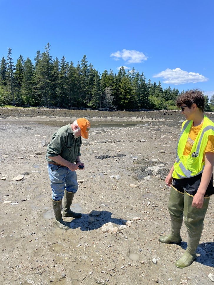 Fred Johnson shucks a clam for Jes Hosch. Both stand on a mudflat with evergreen forest in the background.