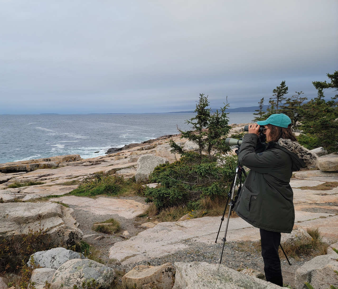 A person in a warm jacket looks through binoculars from the rocky edge of Schoodic Point toward a gray flat sea