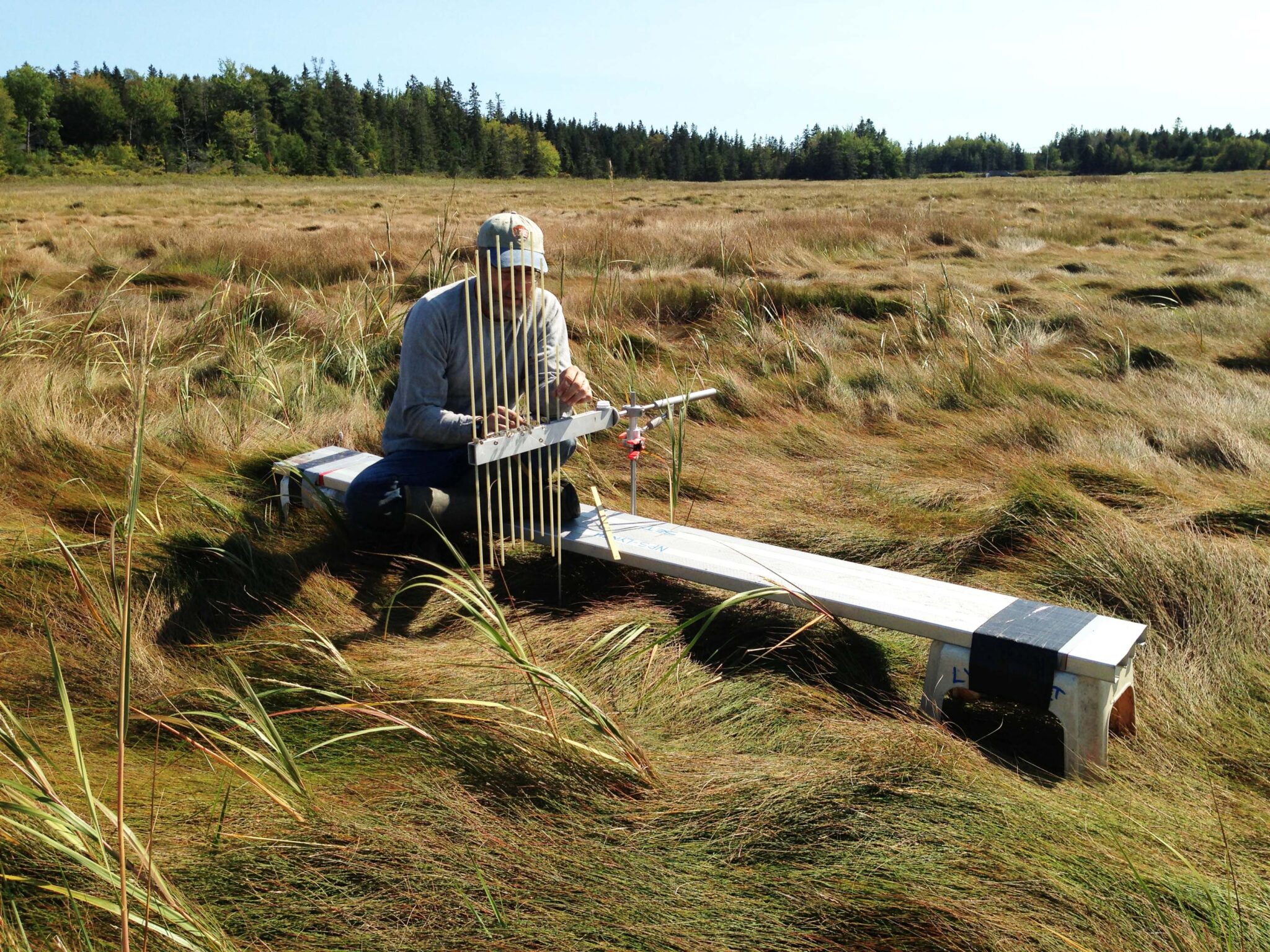 a person adjusts long metal pins on a table set over a salt marsh