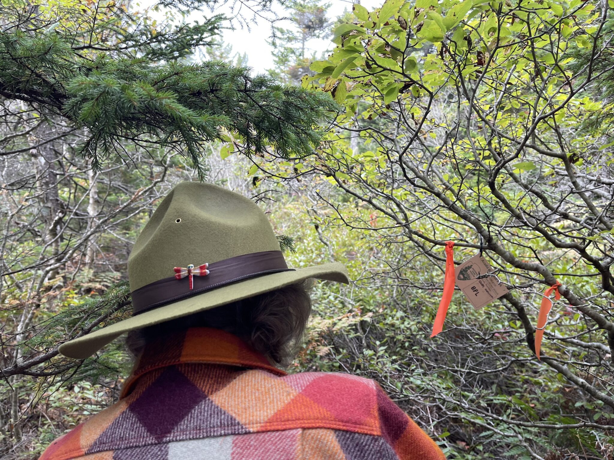 Priest stands in a forest with a study tree in the background wearing a red and orange flannel and a green felt hat decorated with a red dragonfly pin.