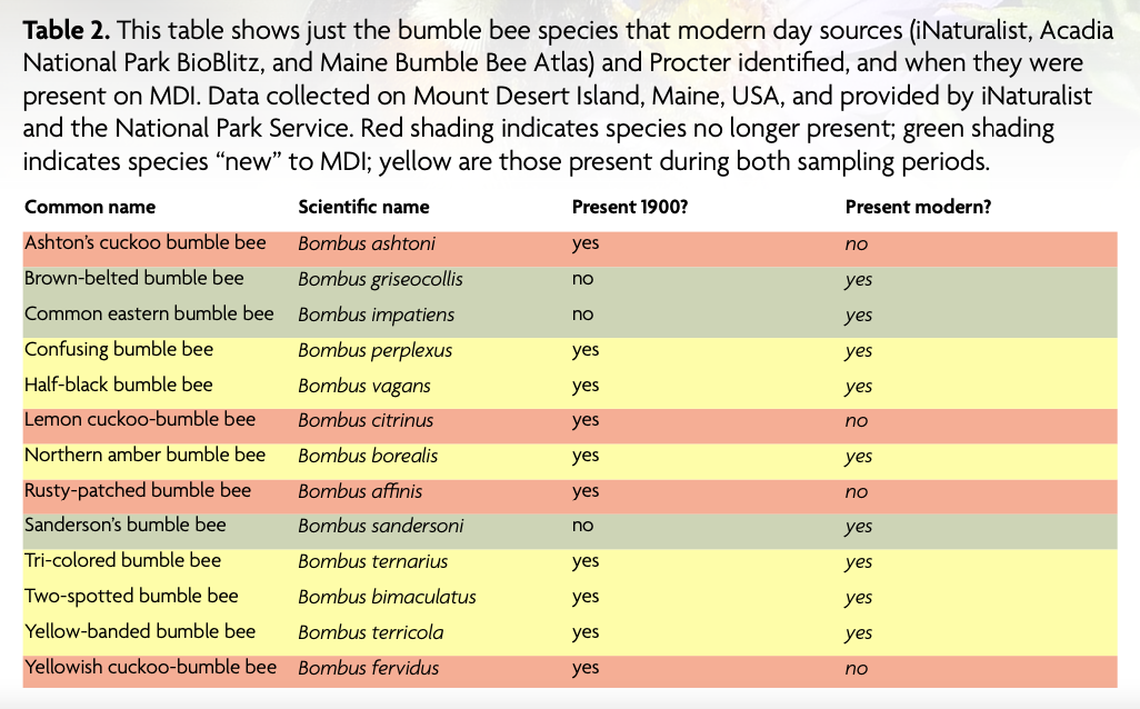 Image of a table showing bumble bee species that are present on Mount Desert Island from the Landscape of Change report.