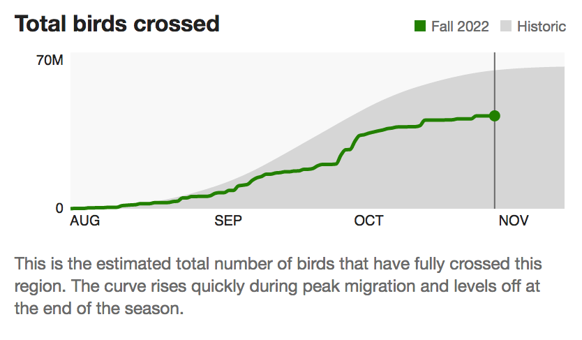 chart showing total birds crossed over Hancock County on Y axis and months August through November on x axis. A line for 2022 shows gradually increasing birds from 0 to more than 40 million, within the historic range shaded in the background