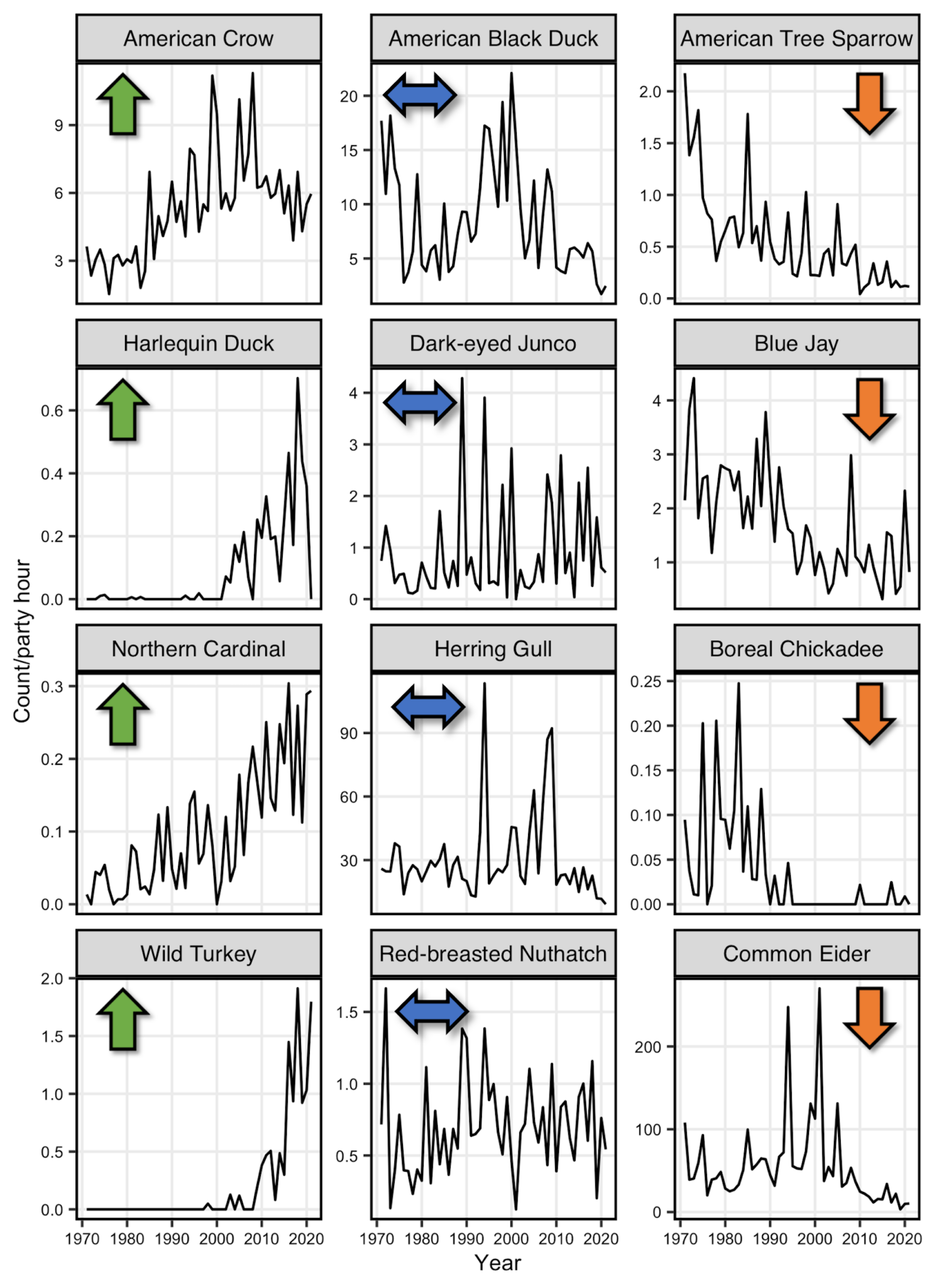 12 line graphs of population trends through time for 12 coastal Maine bird species. The x-axis represents time from 1971 to 2021, and the y-axis represents the count per party hour. American crow, harlequin duck, northern cardinal, and wild turkey are examples of increasing species. American black duck, dark-eyed junco, herring gull, and red-breasted nuthatch did not show a trend over time. American tree sparrow, blue jay, boreal chickadee, and common eider are all decreasing in the Acadia National Park region.