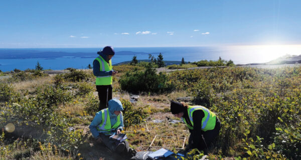 Crew of three researchers use a quadrant to study plant growth on mountaintop, with ocean view and blue sky in the background.