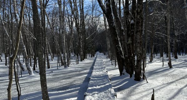 View of snow-covered Jesup Path in Acadia National Park.