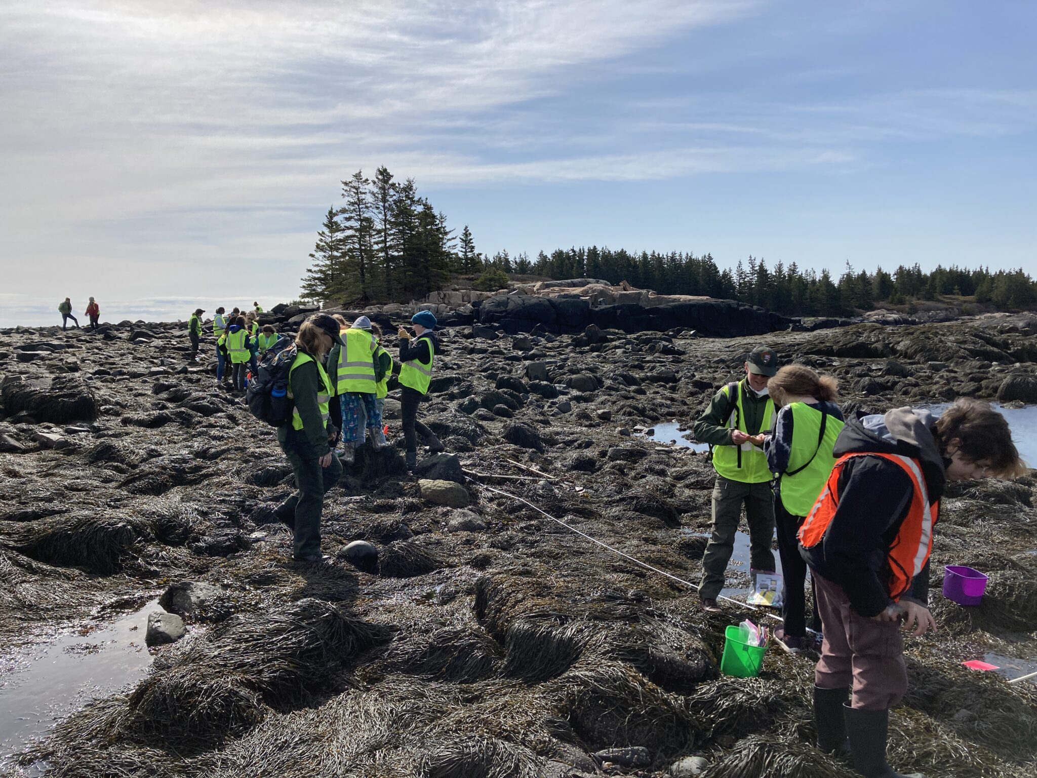 Group of middle school students walking through the intertidal zone on the Schoodic Peninsula, with a bright sun and blue sky above.