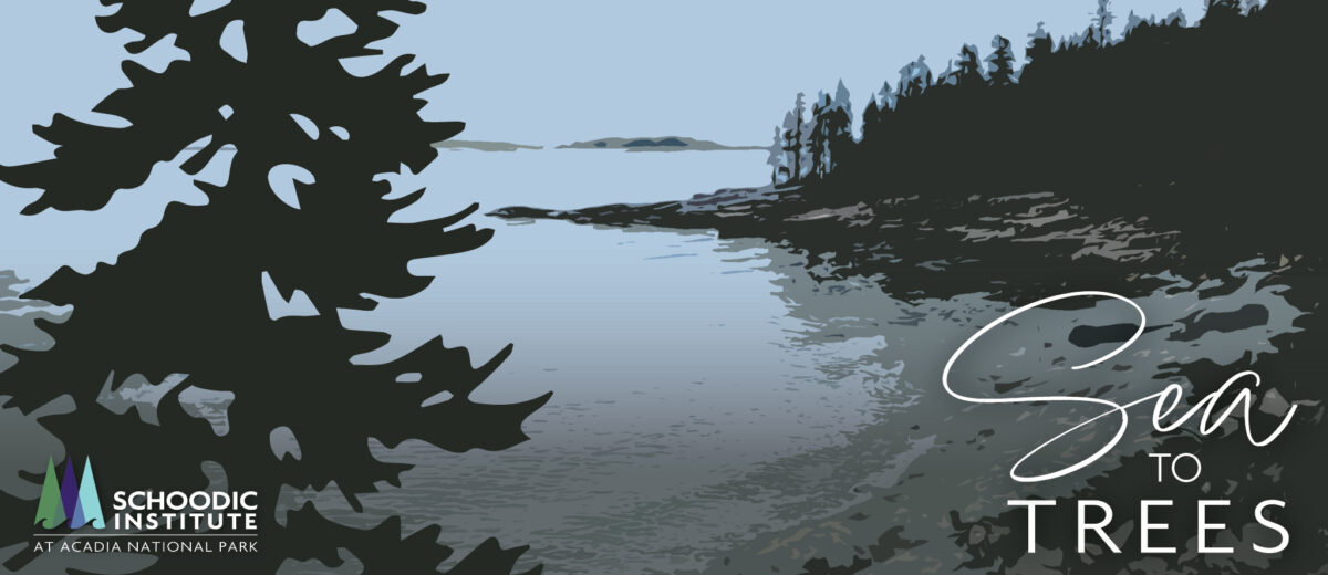 Illustrative graphic cover art for the Sea to Trees podcast, showing illustration of a tree in the foreground, and in the background is a small cover at lowtide with the ocean's horizon line in the background. A cool color palette is used, mainly blues, grays, deep greens.
