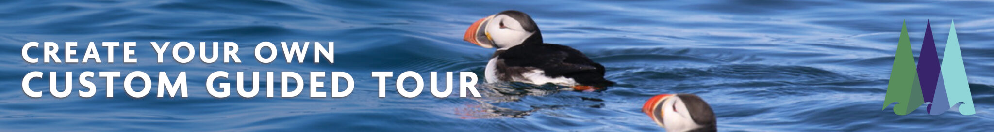 View of two Atlantic puffins floating among calm ocean waves, with overlaid text that reads, 'Create Your Own Custom Guided Tour'.
