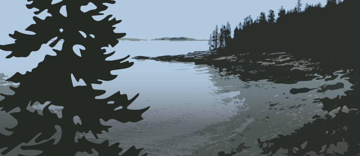 Illustrative graphic cover art for the Sea to Trees podcast, showing illustration of a tree in the foreground, and in the background is a small cover at lowtide with the ocean's horizon line in the background. A cool color palette is used, mainly blues, grays, deep greens.