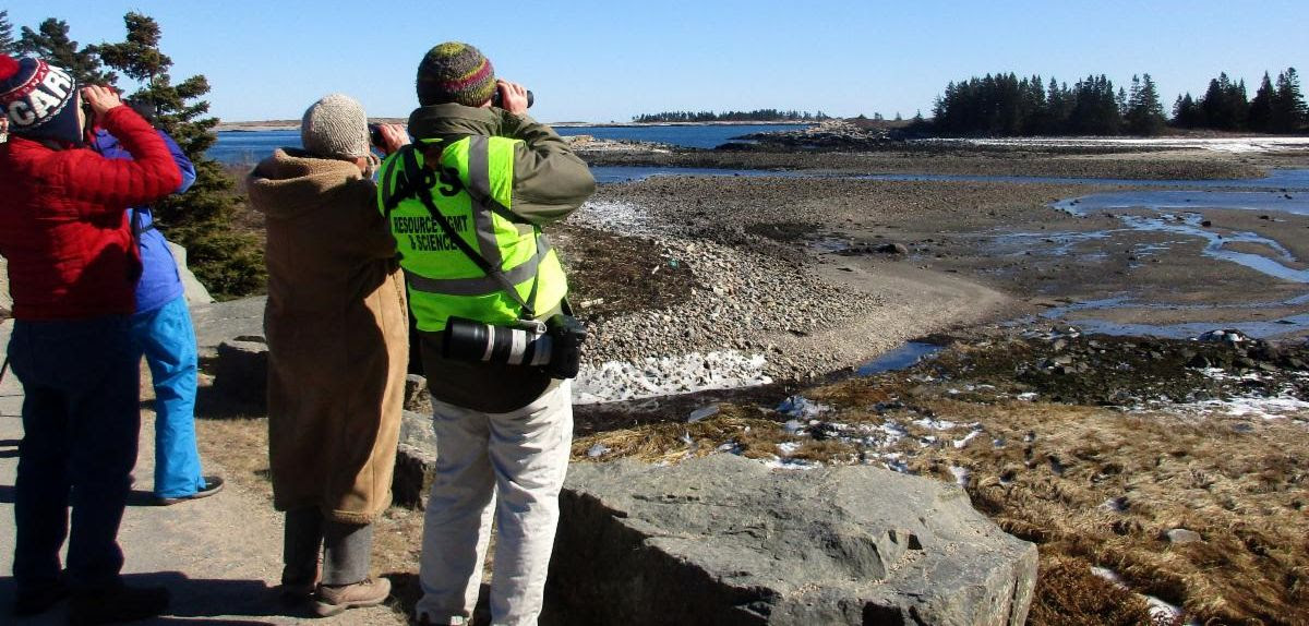 Group of birders face the ocean with binoculars, watching for birds under a blue sky.