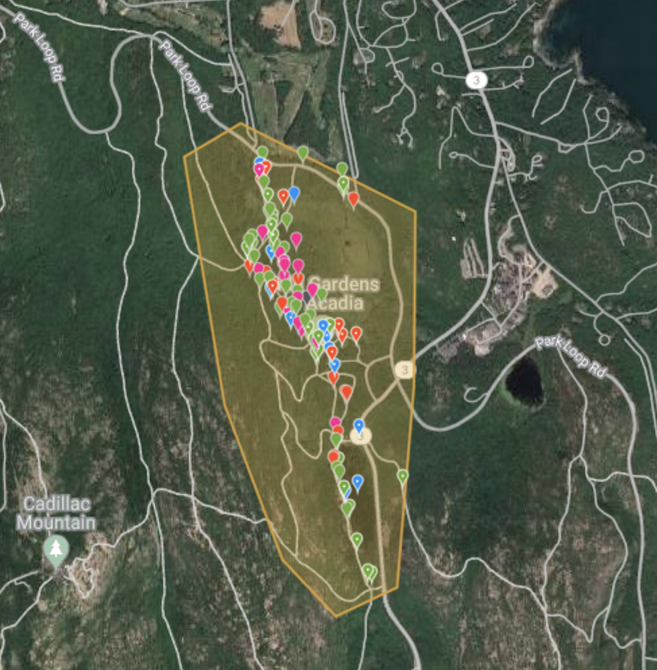 Map of the iNaturalist observations from the Great Meadow trail complex in Acadia National Park.