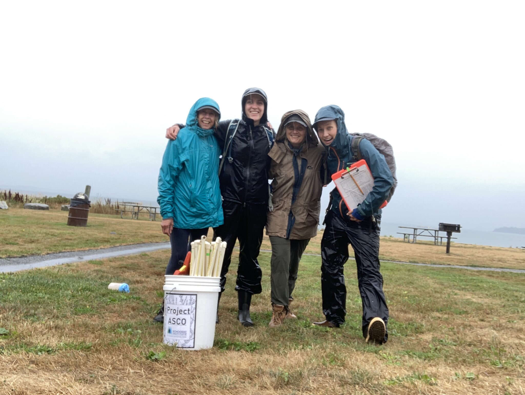 Volunteers join Schoodic Project ASco researchers in the field on a rainy day to collect data.