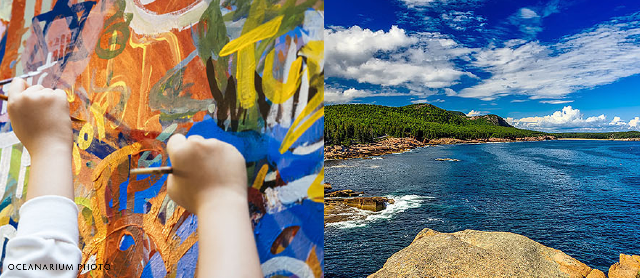 Two image collage: at left, young hands paint a wall mural in bright colors. At right is a view of the coastline and mountains of Acadia National Park on a bright day.