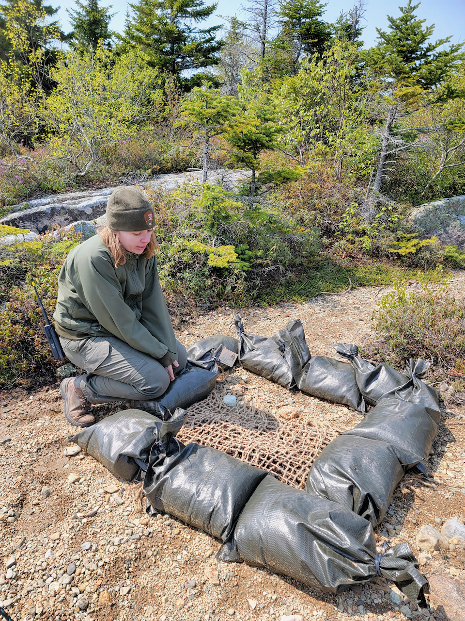 Emma Lanning, a biological science technician with Acadia National Park, stares at a roped-off rectangle on the top of Cadillac Mountain, looking for signs of vegetation growth.