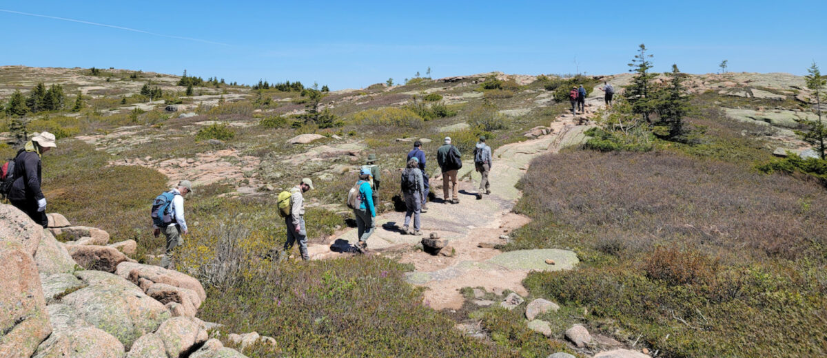 Under a clear blue sky, a line of people hike along a mountain summit trail in Acadia National Park.