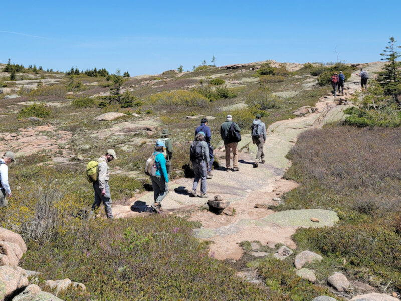 Under a clear blue sky, a line of people hike along a mountain summit trail in Acadia National Park.