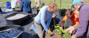 A group of scientists, researchers, and volunteers help to plant tree seedlings on the Schoodic Institute campus.