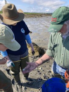 Three people stand in a mudflat one holding a worm while the other two look down at the worm.