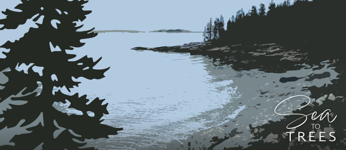Graphic illustration of the Sea to Trees podcast cover artwork, featuring a cool-toned color palette and drawing of a Maine cove at low tide.
