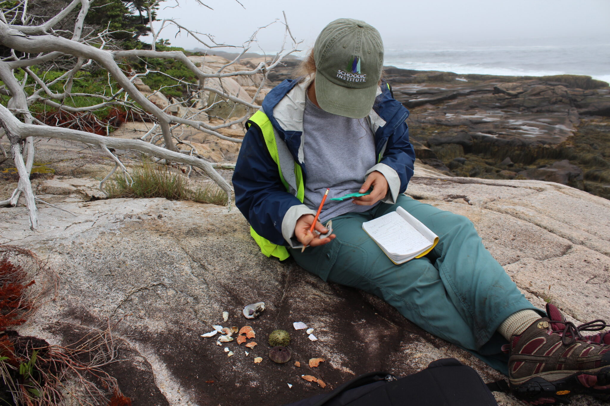 Abby O. sits on the rocks near the sea with an open notebook on her lap, her head down as she studies the small creatures of the intertidal.