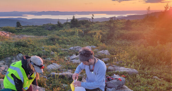 Photo of 2 researchers on a summit in Acadia National Park collecting samples at dawn.