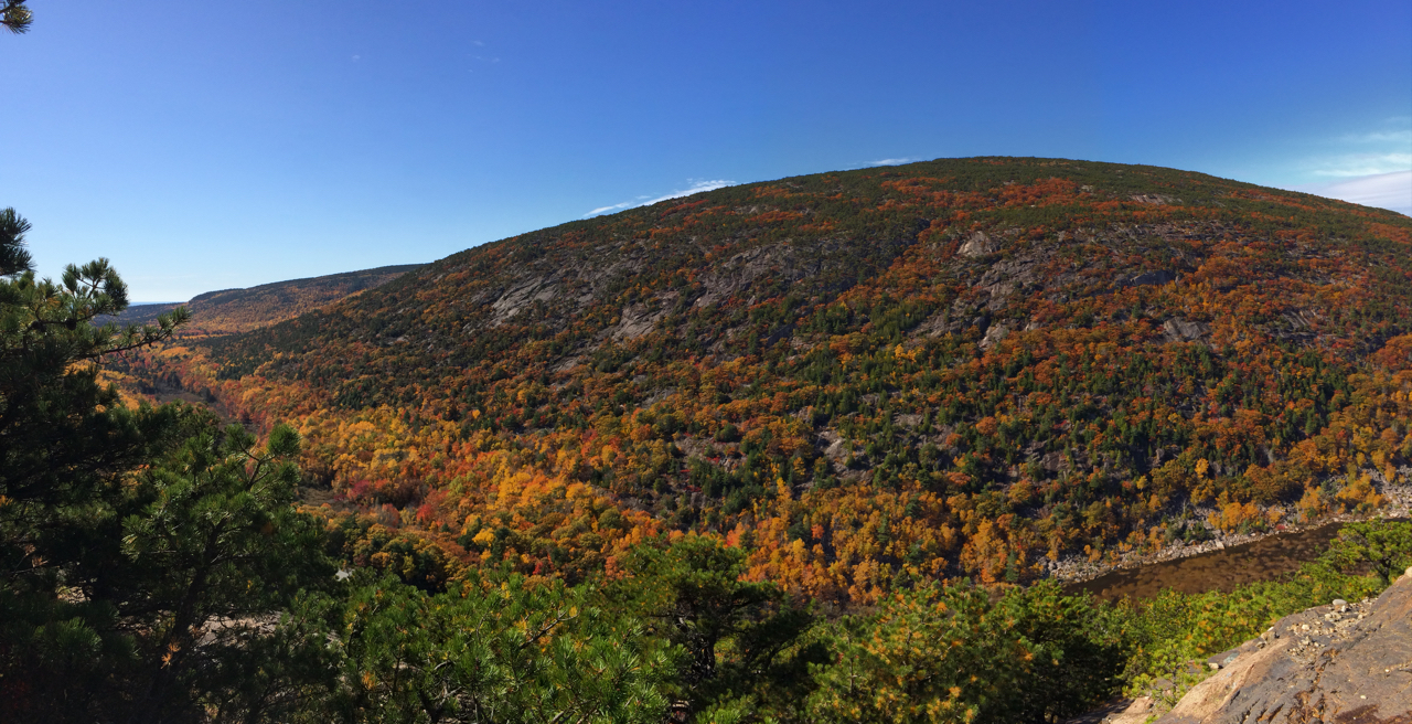 Fall foliage in Acadia National Park.