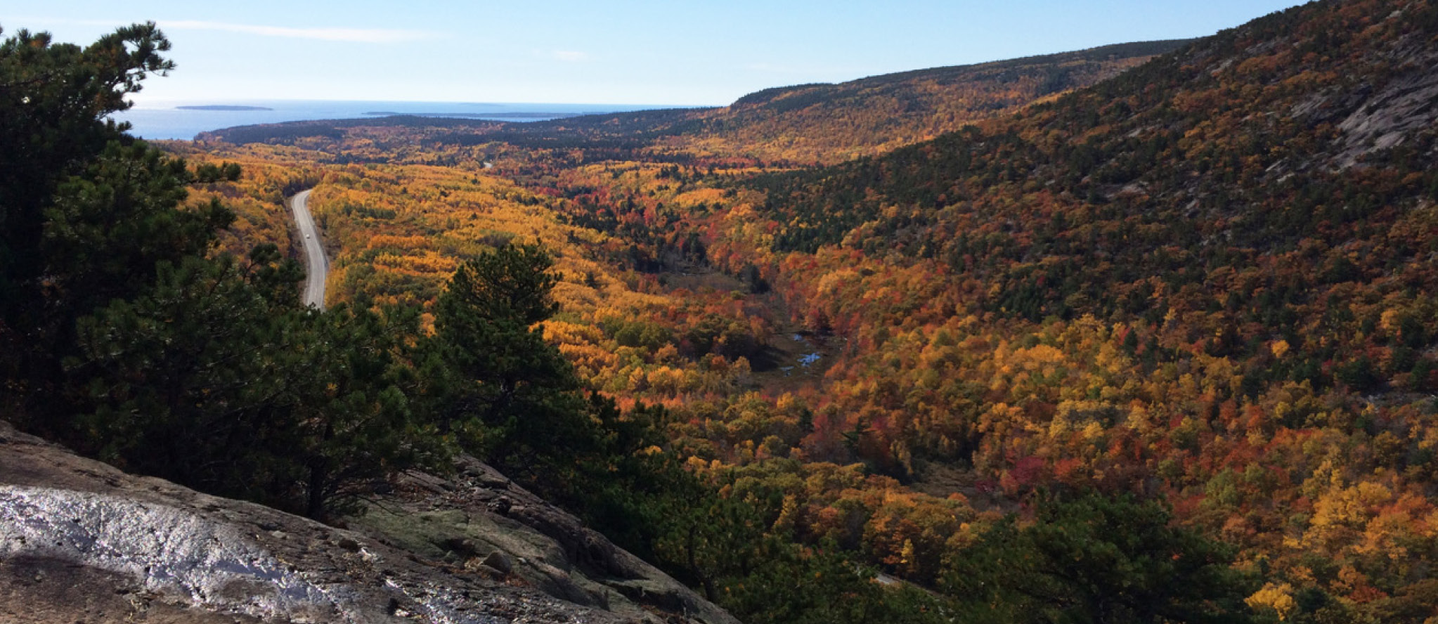 Climate change has shifted peak foliage season at Acadia National Park